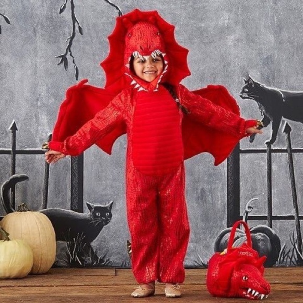 Pottery Barn Kids Dragon Costume